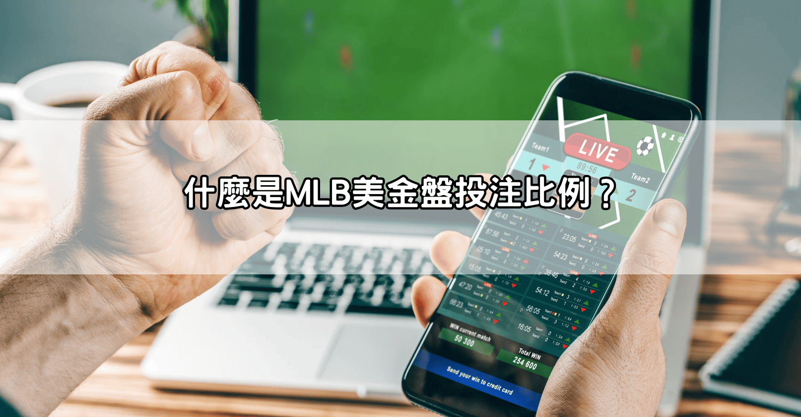 什麼是MLB美金盤投注比例？